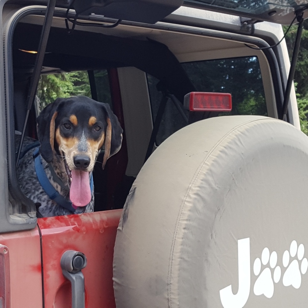 Meet your Posher, Megan