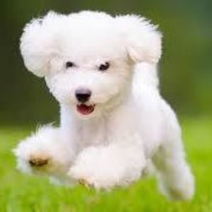 Meet your Posher, Claire