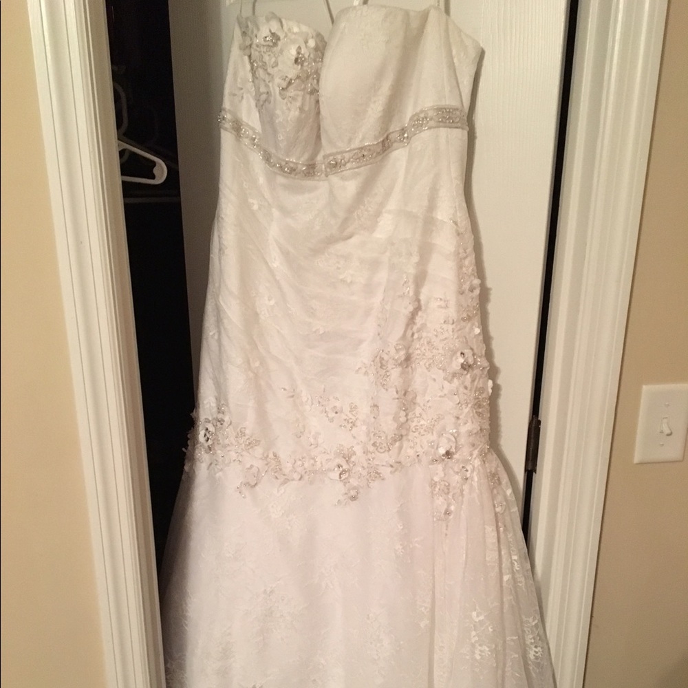 Davids Bridal wedding dress