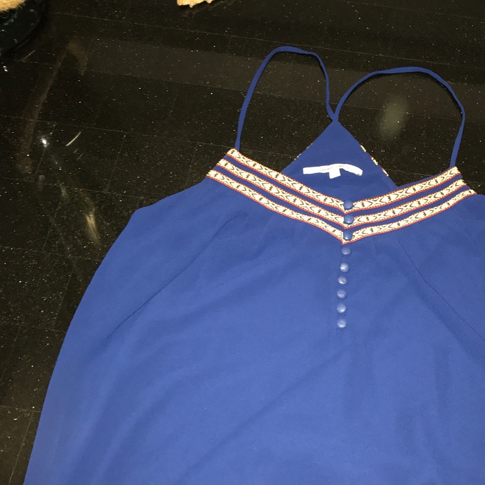 Blue Naked Zebra top - never wore