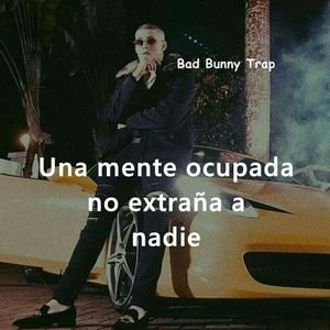 Meet your Posher, Tony