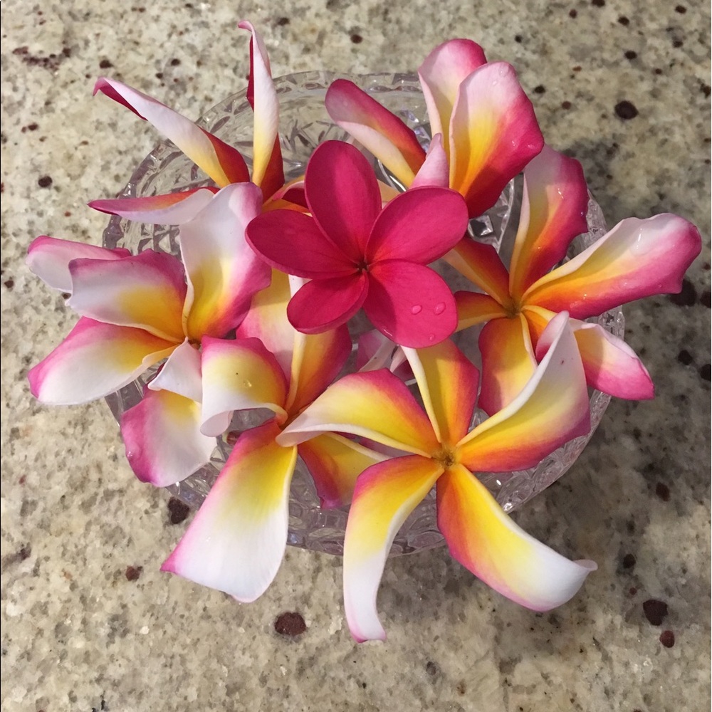 Meet your Posher, Gael