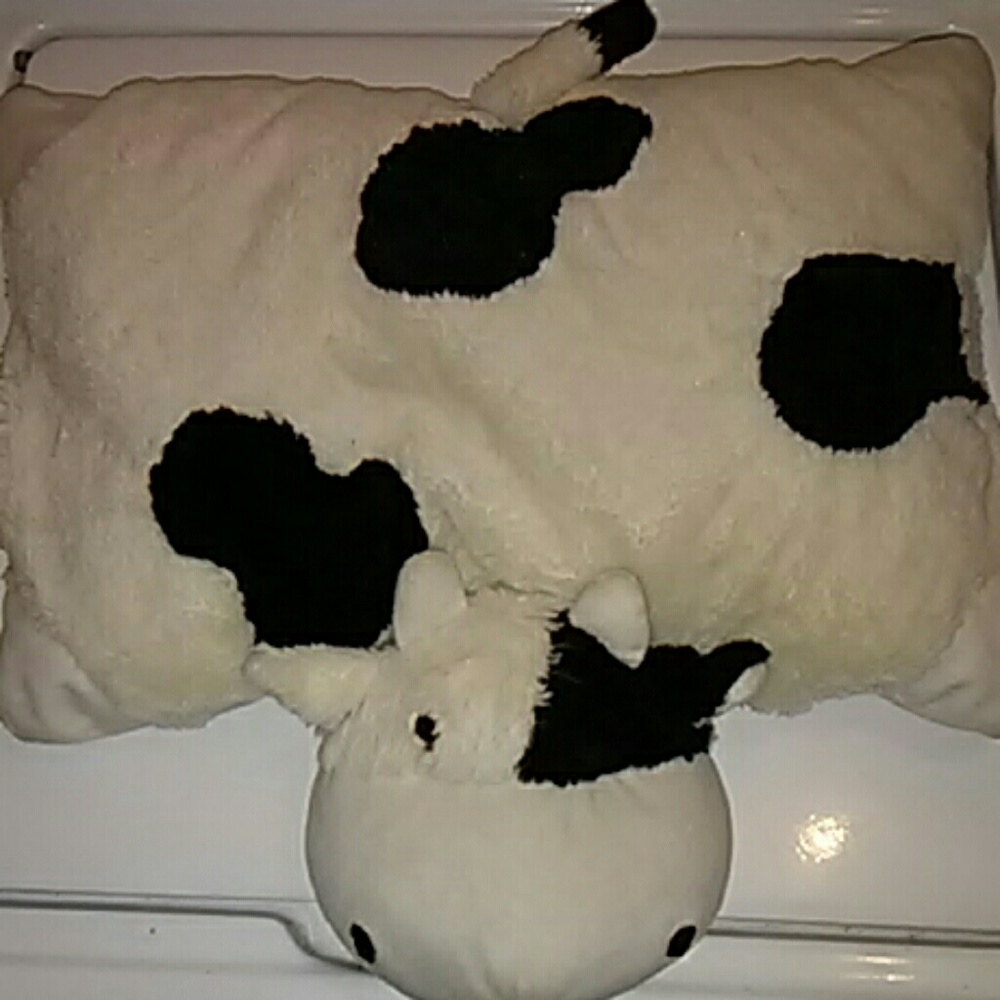 It's a pillow! Its a pet!