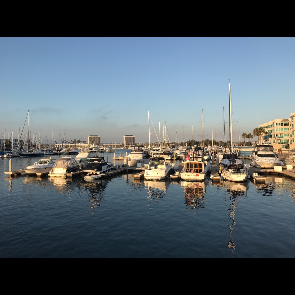 Meet your Posher, Pricella