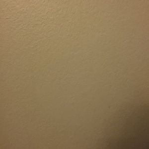 Meet your Posher, Zonya