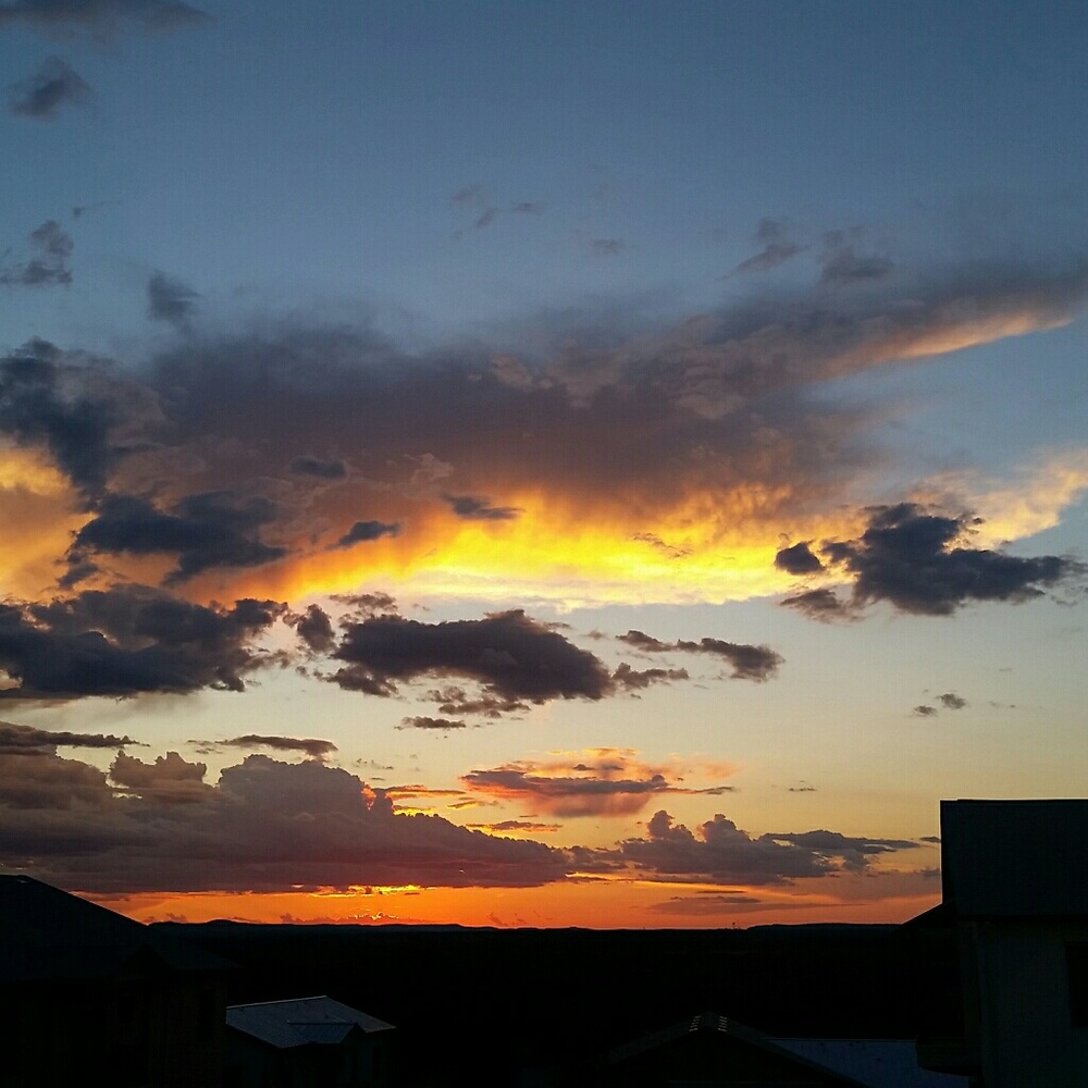 Meet your Posher, Celeste