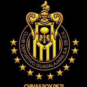 Meet your Posher, Jose