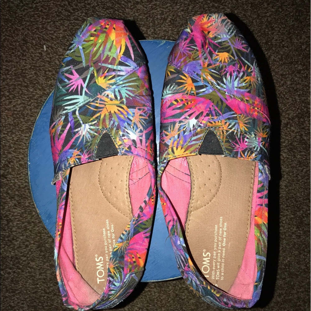 Palm Tree Toms