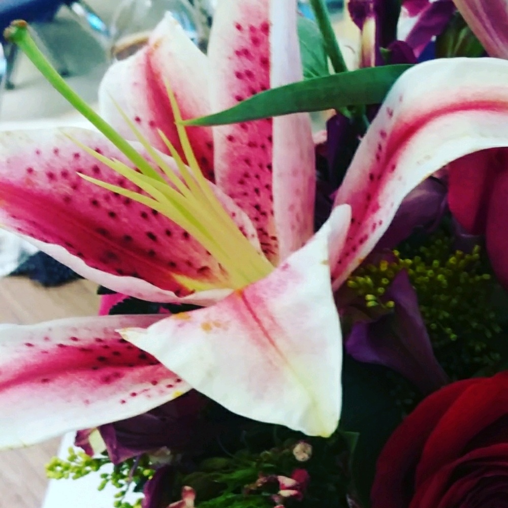 Meet your Posher, Laura