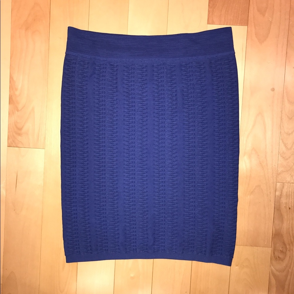 BCBG Purple Stretch Skirt size M