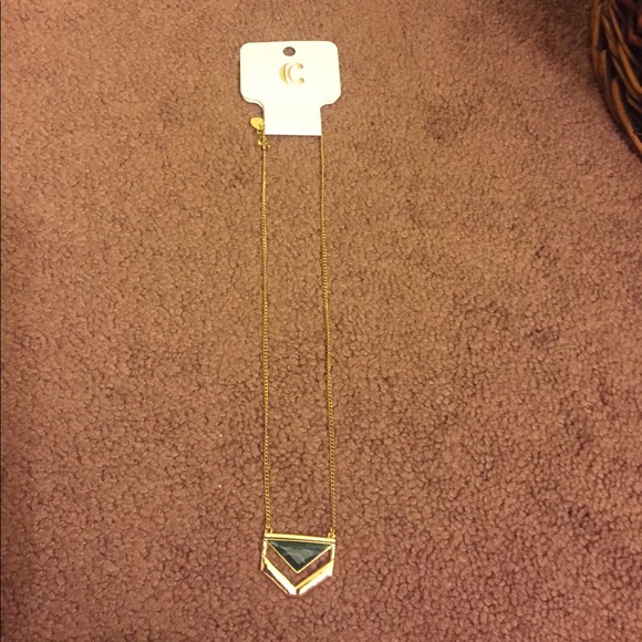 Charming Charlie Jewelry - Pendant necklace