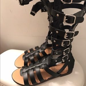 Madden girl gladiators