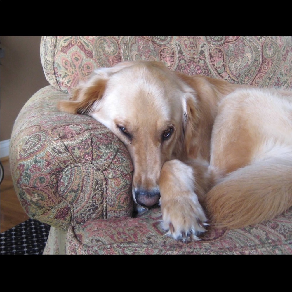 Meet your Posher, Kelly