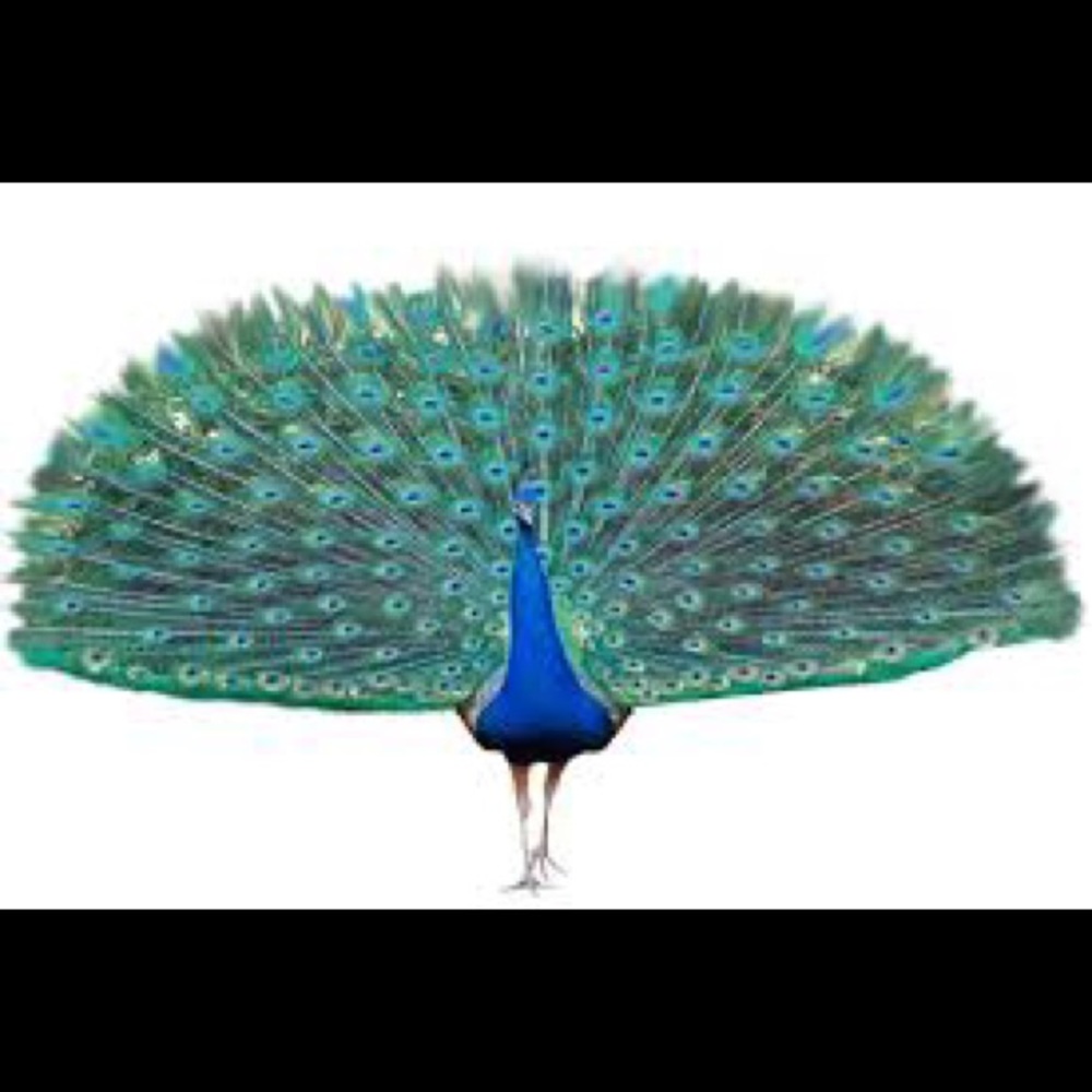 Meet your Posher, Marisa