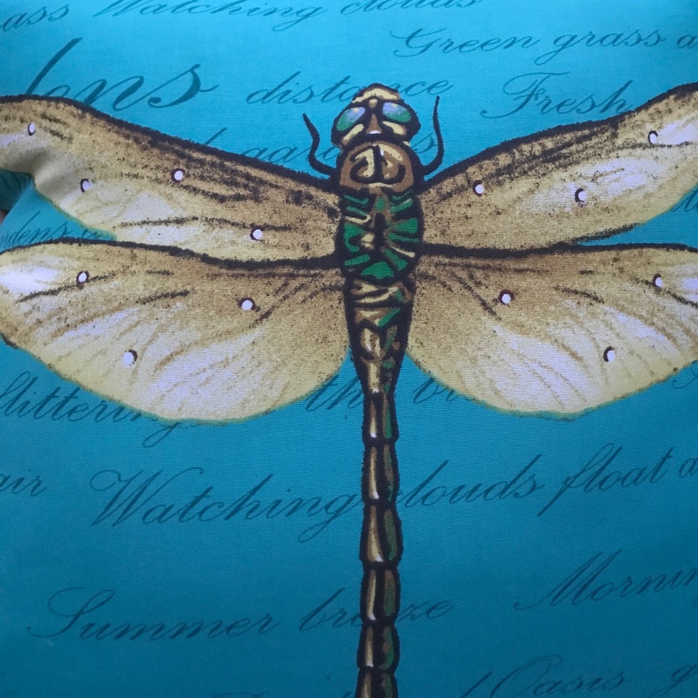 Meet your Posher, Kristen