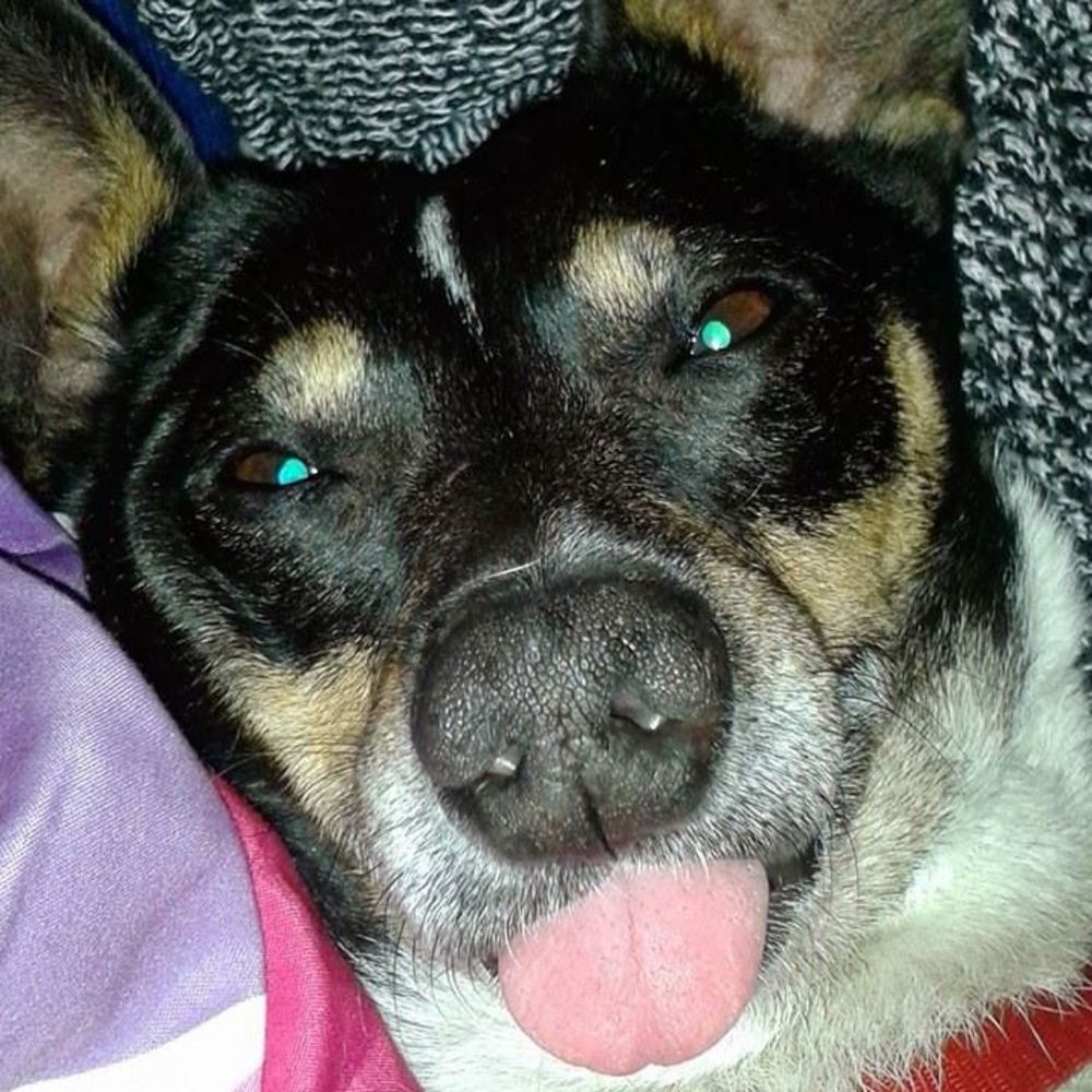 Meet your Posher, Lourdes