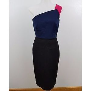 Roland Mouret Color Block Bodycon  Dress