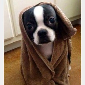 Meet your Posher, Kaden