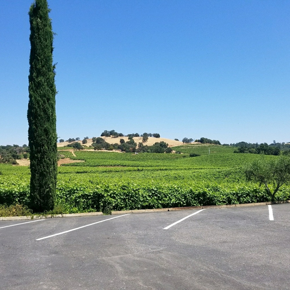 Meet your Posher, Chelsea