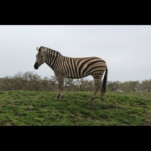 Meet your Posher, Joan