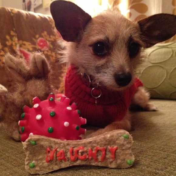 HELLO FELLOW POSHER'S I'M JEANNE! - Picture 6 of 8