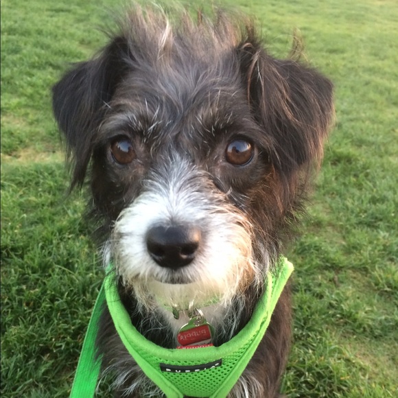 HELLO FELLOW POSHER'S I'M JEANNE! - Picture 5 of 8