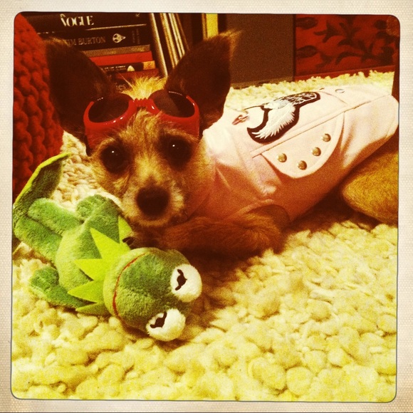 HELLO FELLOW POSHER'S I'M JEANNE! - Picture 8 of 8