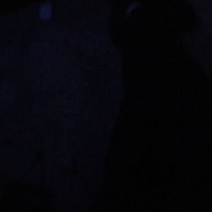 Meet your Posher, Jaesean