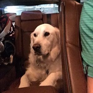 Meet your Posher, Jim