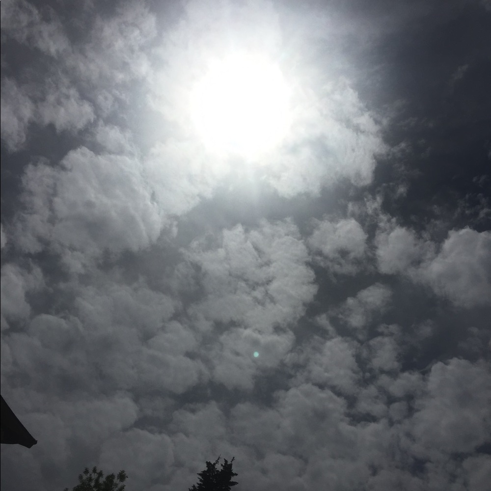 Meet your Posher, PS