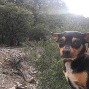 Meet your Posher, Jazmin