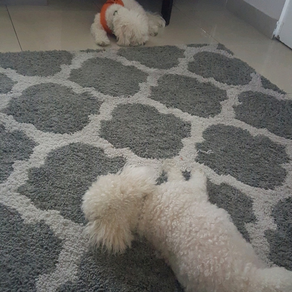 Meet your Posher, Yuri