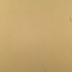 Meet your Posher, Albert