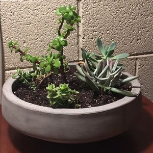 Meet your Posher, Kristle