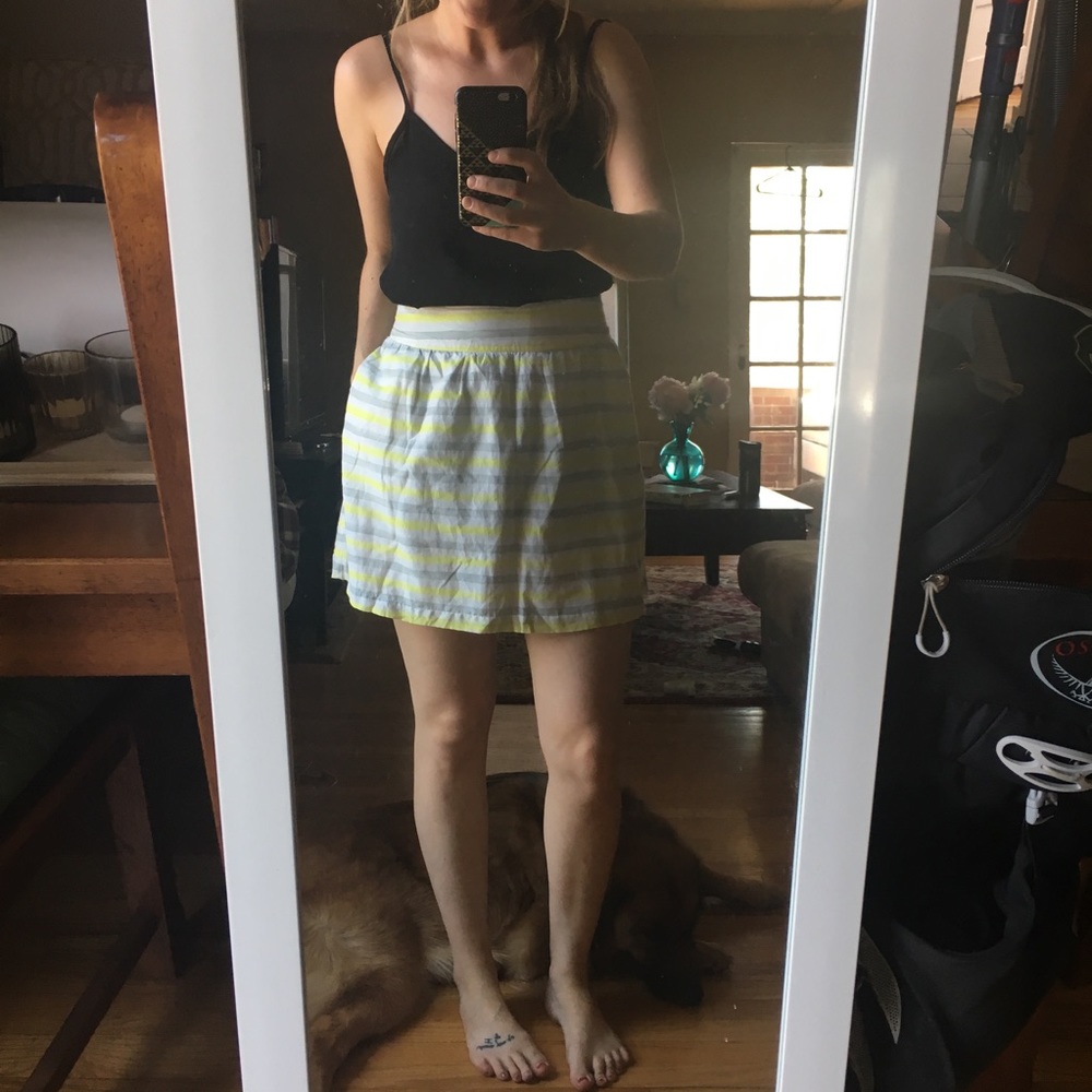Striped Silk Skirt