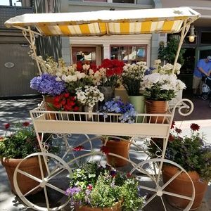 Meet your Posher, Sharon