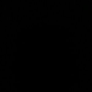 Meet your Posher, Joel