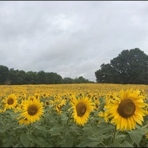 Meet your Posher, Bekah