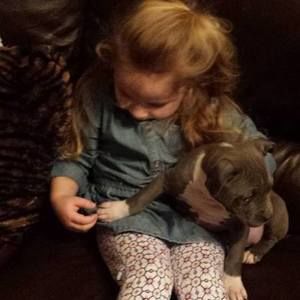 Meet your Posher, Randall