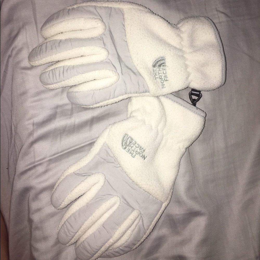 The North Face Gloves