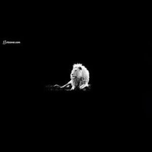 Meet your Posher, Sammi