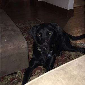 Meet your Posher, Reed