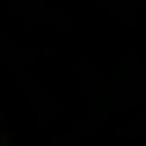 Meet your Posher, Bonnie