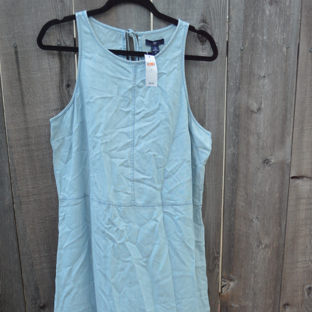 GAP Chambray Dress