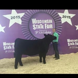 Meet your Posher, James