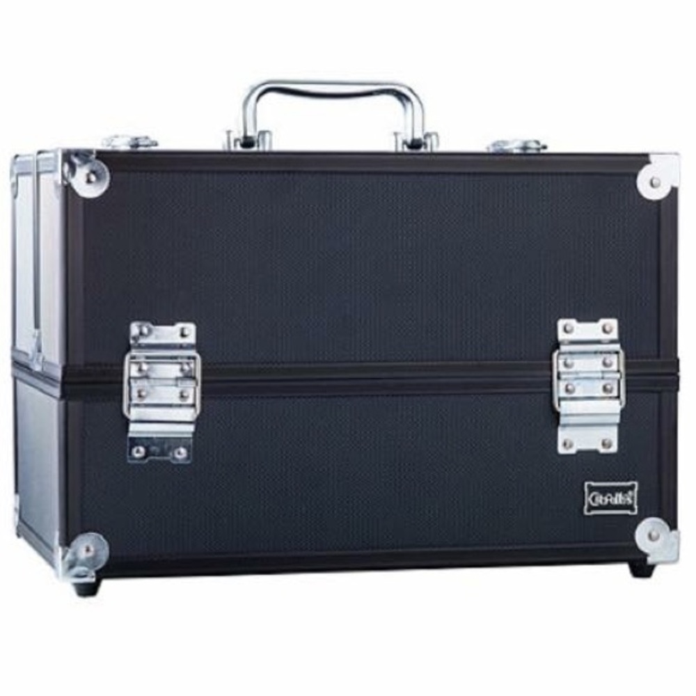 Professional travel makeup case