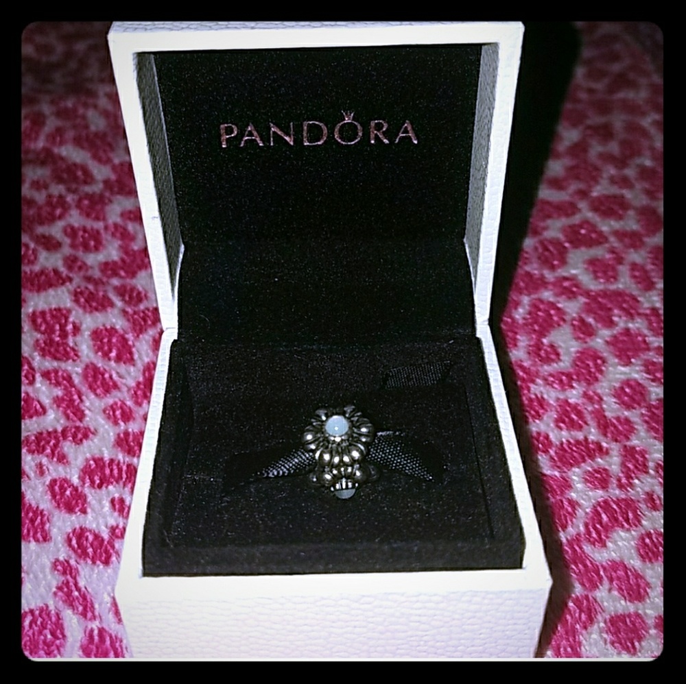 Pandora Charm