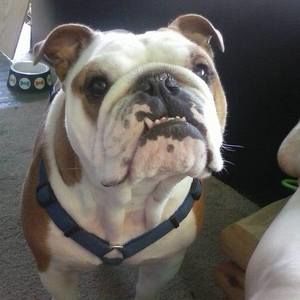 Meet your Posher, Billiejo