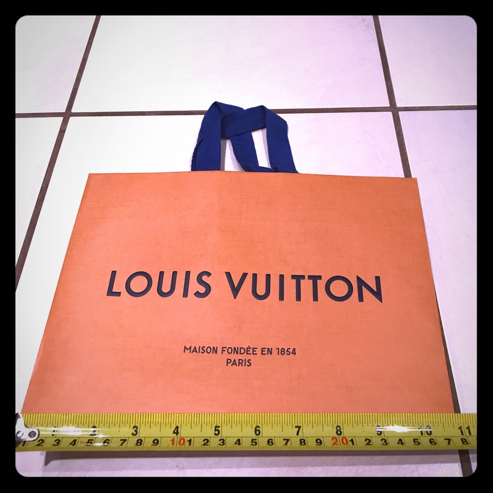 Louis Vuitton shopping bag
