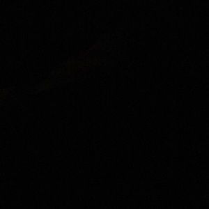 Meet your Posher, Carly